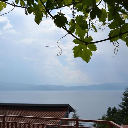 Villa Fania Ohrid Ngoại thất bức ảnh