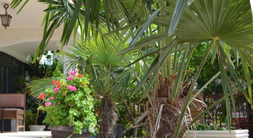 Villa Fania Ohrid Ngoại thất bức ảnh